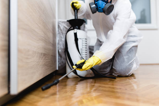 Pest Prevention Services in Bogota, NJ